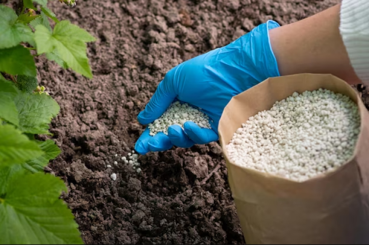 Fertilizers and Soil Additives